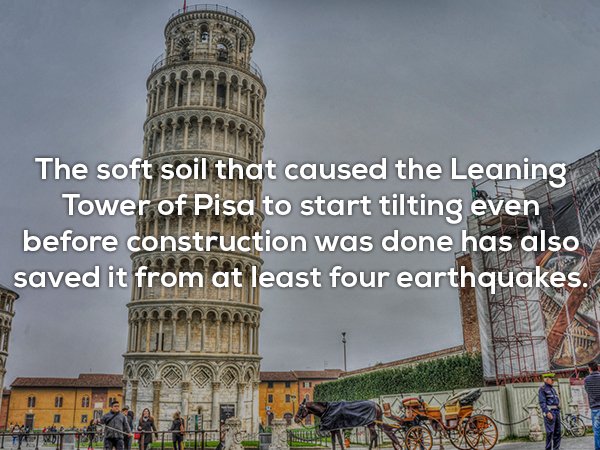 piazza dei miracoli - The soft soil that caused the Leaning Tower of Pisa to start tilting even before construction was done has also saved it from at least four earthquakes.