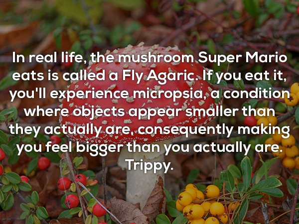 In real life, the mushroom Super Mario eats is called a Fly Agaric. If you eat it, you'll experience micropsia, a condition where objects appear smaller than they actually are, consequently making you feel bigger than you actually are. Trippy.