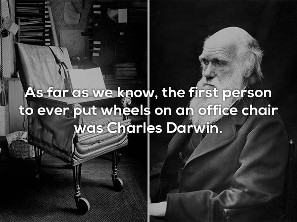 charles darwin - As far as we know, the first person to ever put wheels on an office chair was Charles Darwin.
