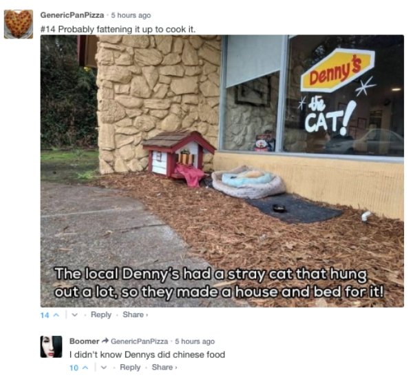 meme restoring faith in humanity - GenericPanPizza 5 hours ago Probably fattening it up to cook it. Dennys K Cat The local Denny's had a stray cat that hung out a lot, so they made a house and bed for it! 14 Boomer Generic PanPizza 5 hours ago I didn't kn