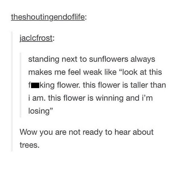 sunflower tumblr meme - theshoutingendoflife jaclcfrost standing next to sunflowers always makes me feel weak "look at this fking flower, this flower is taller than i am. this flower is winning and i'm losing" Wow you are not ready to hear about trees.