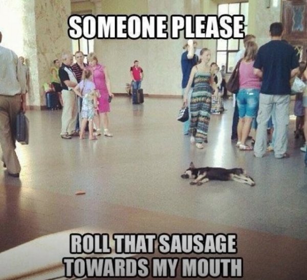 roll that sausage into my mouth - Someone Please Roll That Sausage Towards My Mouth