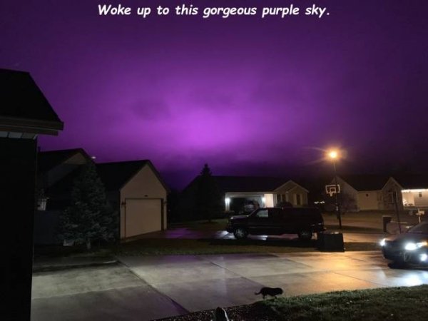 sky - Woke up to this gorgeous purple sky.