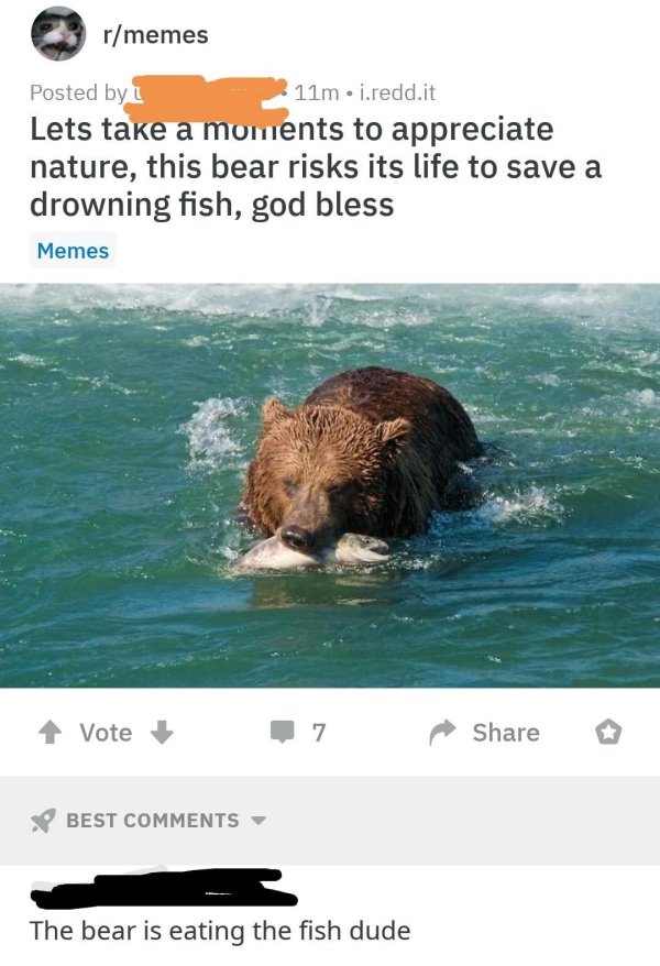 missed - bear risks his life save drowning fish - rmemes Posted by 11m .i.redd.it Lets take a moments to appreciate nature, this bear risks its life to save a drowning fish, god bless Memes 1 Vote 7 Best The bear is eating the fish dude