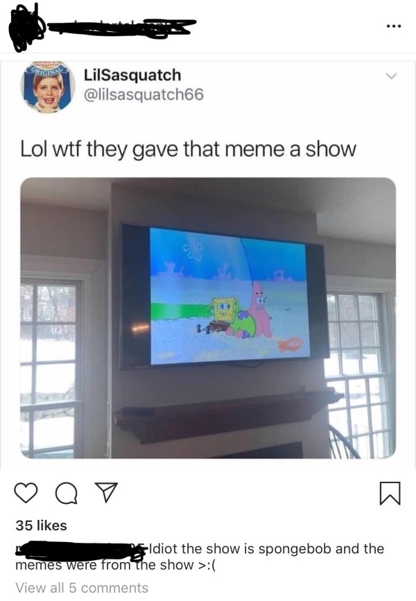 missed - Meme - LilSasquatch Lol wtf they gave that meme a show 0 0 35 Idiot the show is spongebob and the memes were from The show > View all 5