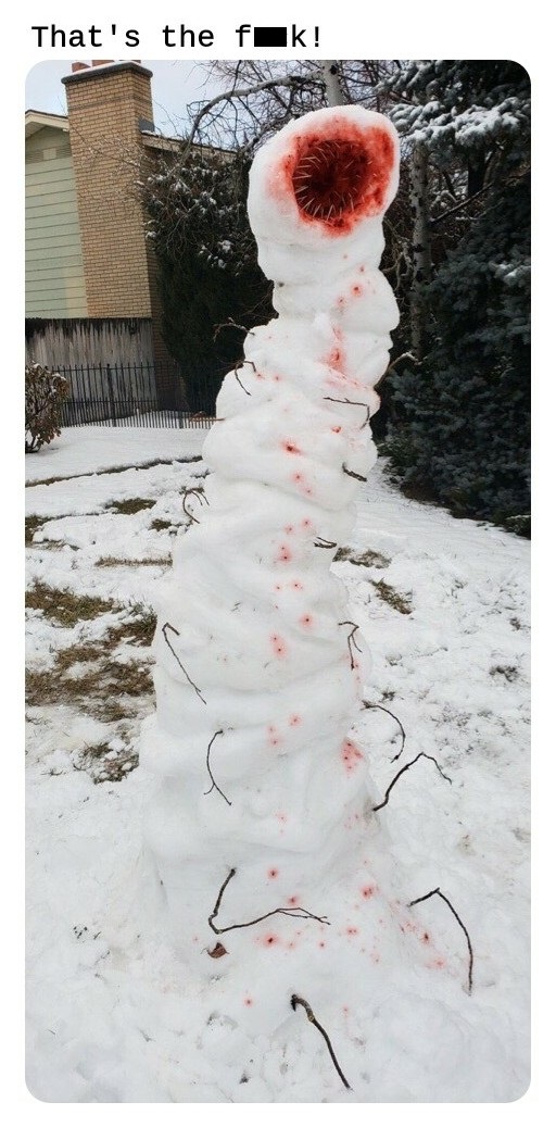 expectation vs reality snowman - That's the fok!