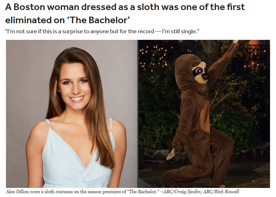 bachelor sloth meme - A Boston woman dressed as a sloth was one of the first eliminated on 'The Bachelor' "I'm not sure if this is a surprise to anyone but for the record I'm still single." Alex Dillon wore a sloth costume on the season premiere of "The B