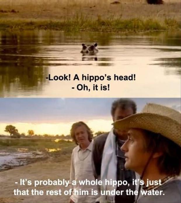 top gear funny - Look! A hippo's head! Oh, it is! It's probably a whole hippo, it's just that the rest of him is under the water.