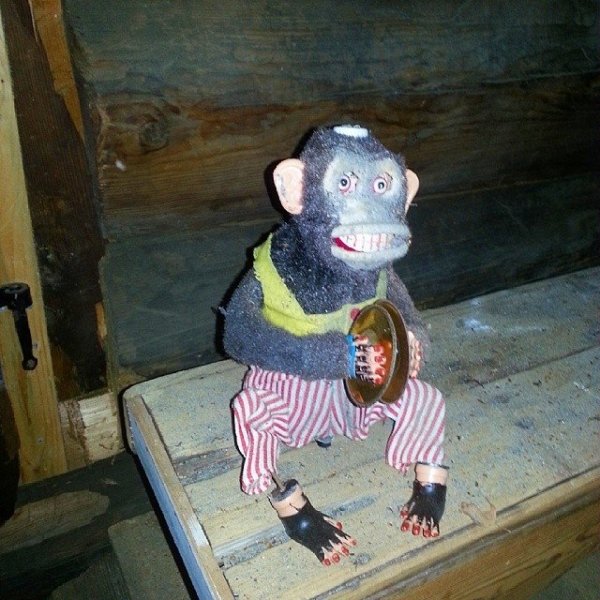 So I found this monkey in the attic…