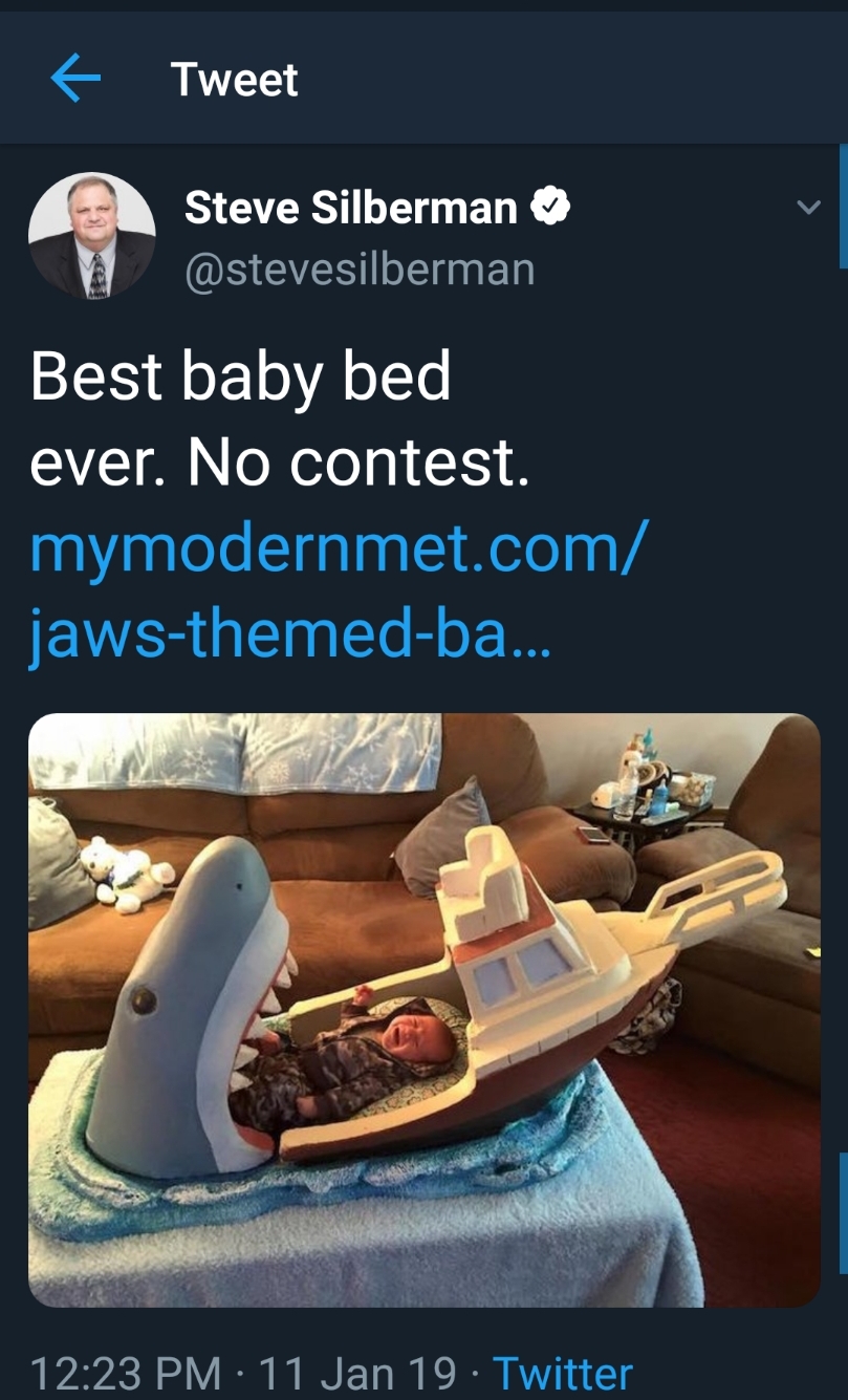 parents whose sense of humor is better than their kids - Tweet Steve Silberman Best baby bed ever. No contest. mymodernmet.com jawsthemedba... . 11 Jan 19. Twitter