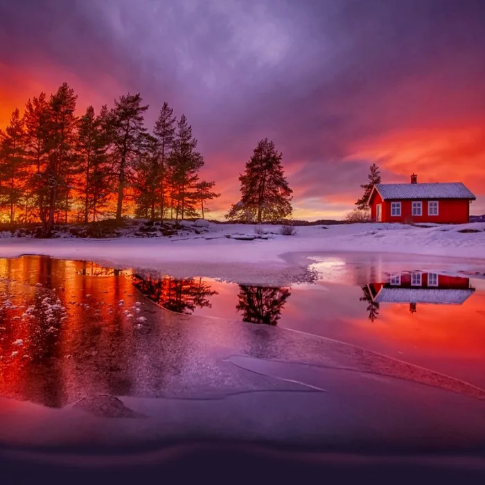 beautiful winter evening -