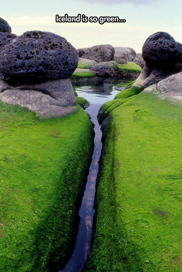 extraordinary place in the world - Iceland is so green...