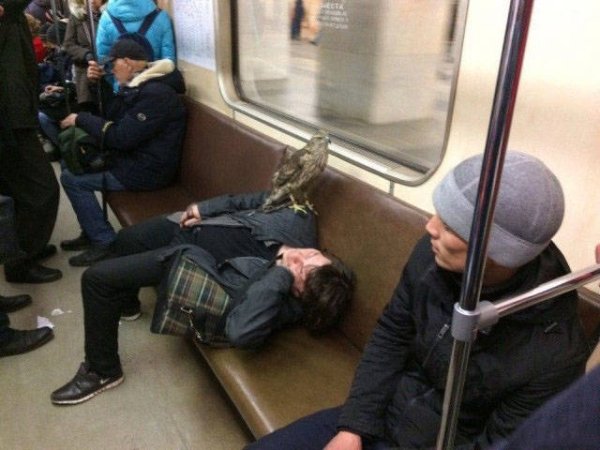 31 WTF people seen on the subway