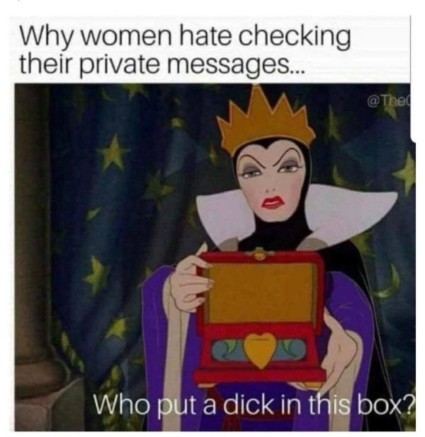 put a dick in this box meme - Why women hate checking their private messages... Who put a dick in this box?