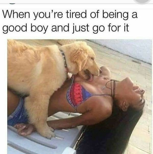 you re tired of being a good boy - When you're tired of being a good boy and just go for it
