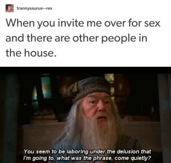 funny sex memes - trannysaurusrex When you invite me over for sex and there are other people in the house. You seem to be laboring under the delusion that I'm going to what was the phrase, come quietly?