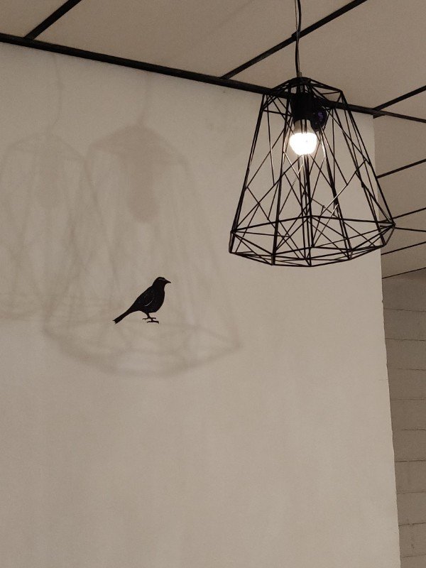 “This wall decor that uses the lamp’s shadow.”