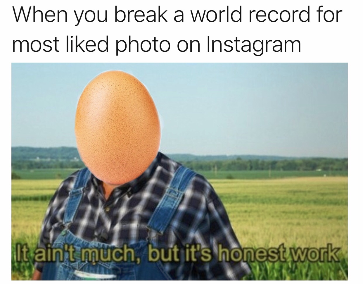 egg memes - When you break a world record for most d photo on Instagram It ain't much, but it's honest work