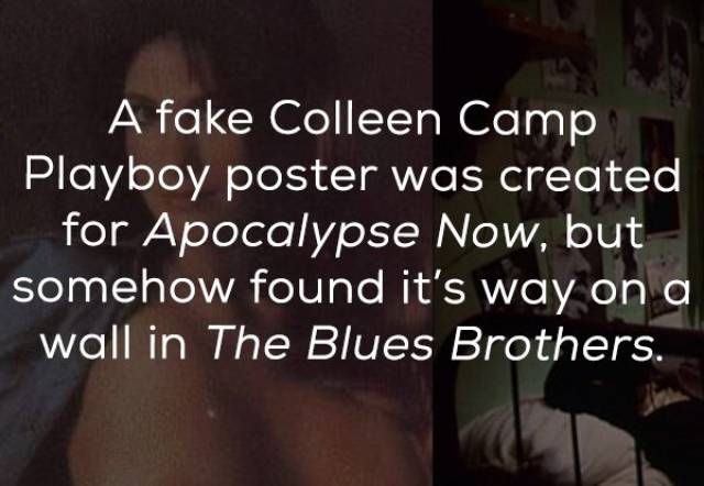 photo caption - A fake Colleen Camp Playboy poster was created for Apocalypse Now, but somehow found it's way on a wall in The Blues Brothers.