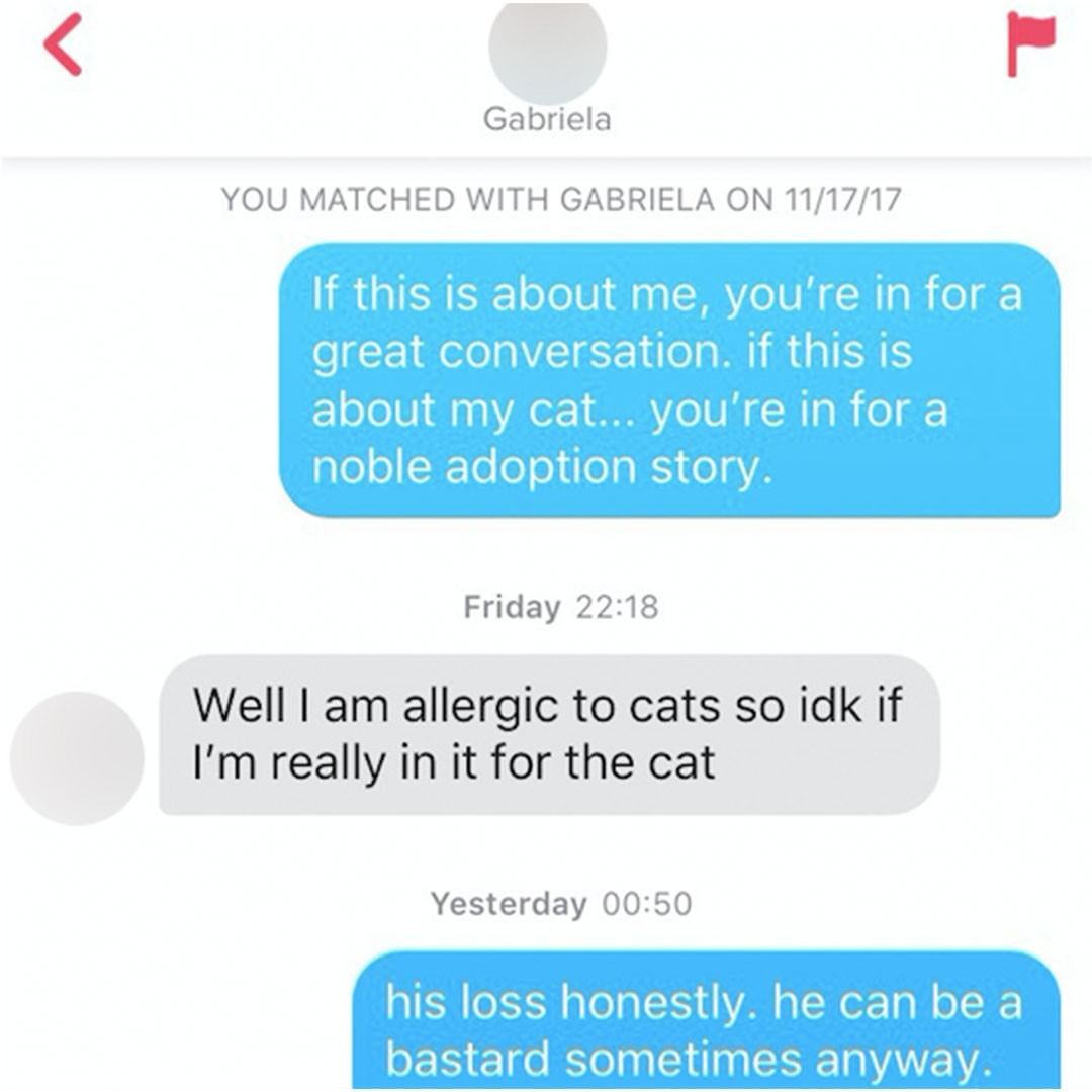 bellarke social media - Gabriela You Matched With Gabriela On 111717 If this is about me, you're in for a great conversation. if this is about my cat... you're in for a noble adoption story. Friday Well I am allergic to cats so idk if I'm really in it for