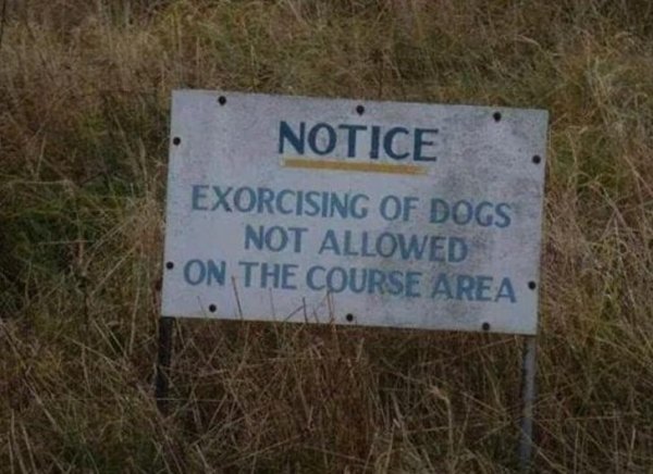 grass - Notice Exorcising Of Dogs Not Allowed On The Course Area