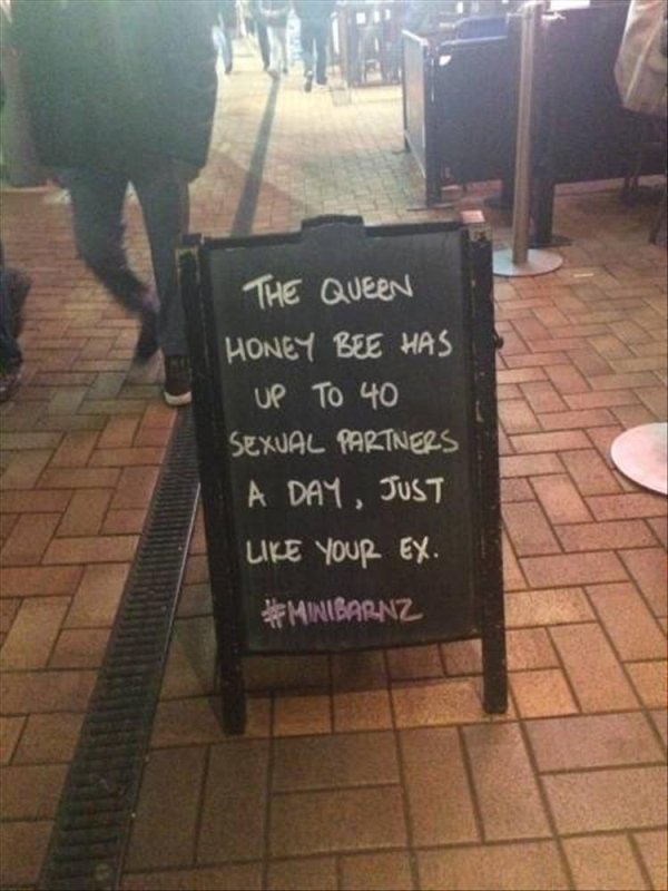 Humour - The Queen Honey Bee Has Up To 40 Sexual Partners A Day, Just Your Ex. Minibarnz