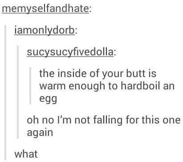 can you hard boil an egg in your anus - memyselfandhate iamonlydorb sucysucyfivedolla the inside of your butt is warm enough to hardboil an egg oh no I'm not falling for this one again what