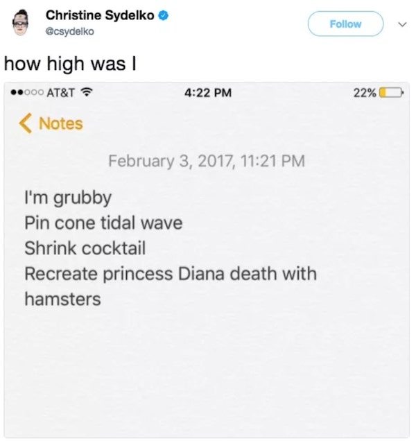 screenshot - Christine Sydelko how high was ..000 At&T 22% Notes , I'm grubby Pin cone tidal wave Shrink cocktail Recreate princess Diana death with hamsters