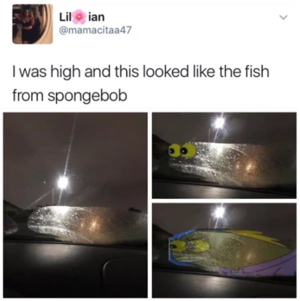 light - Lil Lilian I was high and this looked the fish from spongebob