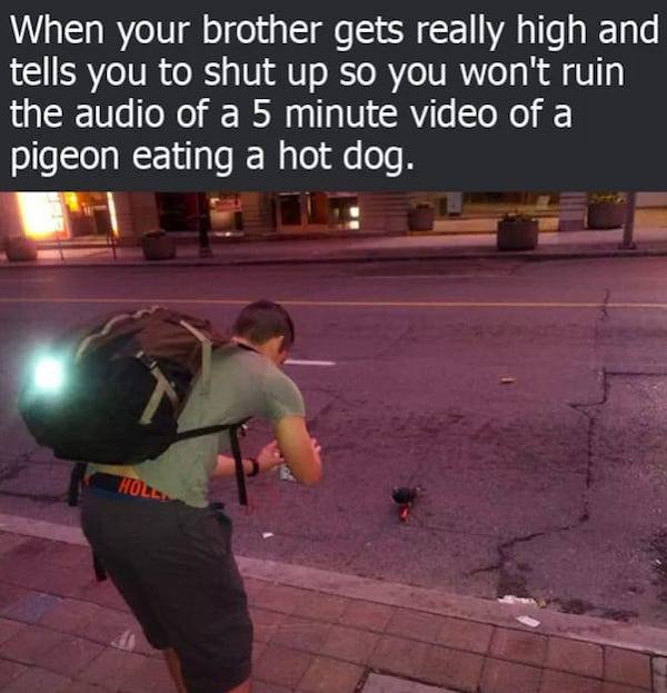 you re special to me - When your brother gets really high and tells you to shut up so you won't ruin the audio of a 5 minute video of a pigeon eating a hot dog.