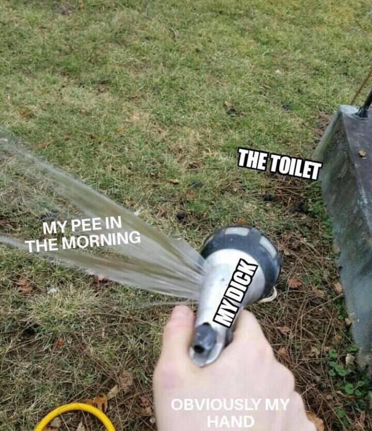 random pic peeing in the morning meme - The Toilet My Pee In The Morning Jure My Dick Obviously My Hand