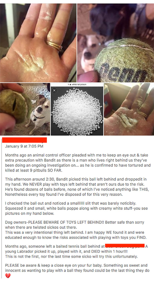 small white balls poison - January 9 at Months ago an animal control officer pleaded with me to keep an eye out & take extra precaution with Bandit as there is a man who lives right behind us they've been doing an ongoing investigation on... as he is conf
