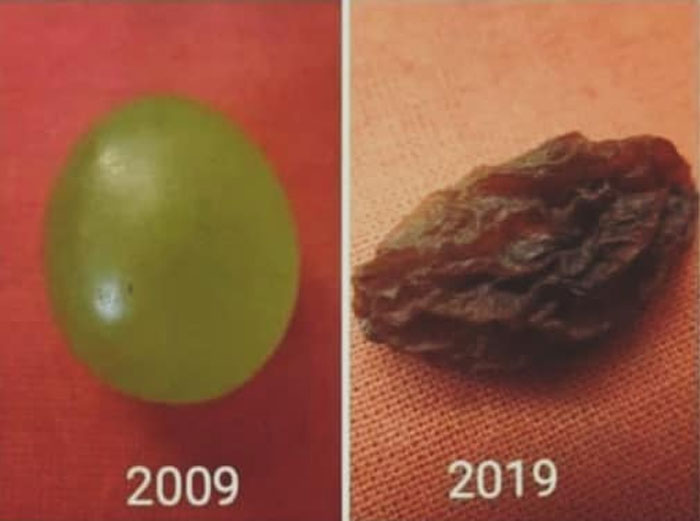 meme 10 year challenge raisin - 2009 2019