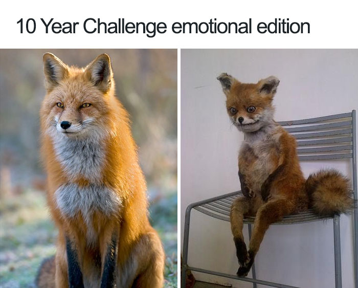 meme four seasons hotel moscow - 10 Year Challenge emotional edition