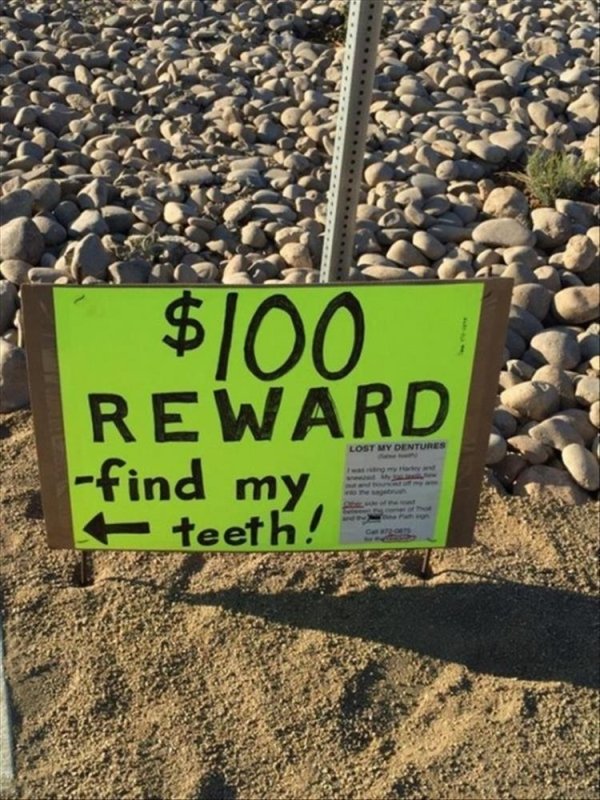 soil - $100 Reward find my teeth! Lost My Dentures