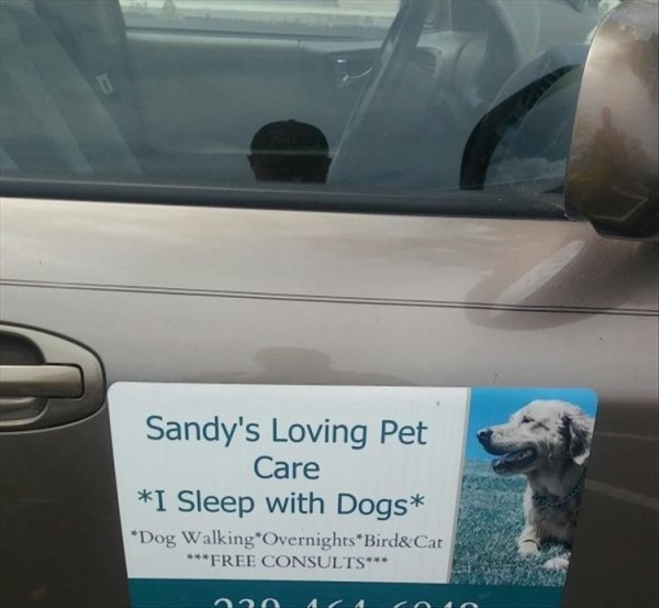 vehicle door - Sandy's Loving Pet Care I Sleep with Dogs Dog Walking OvernightsBird&Cat Free Consults