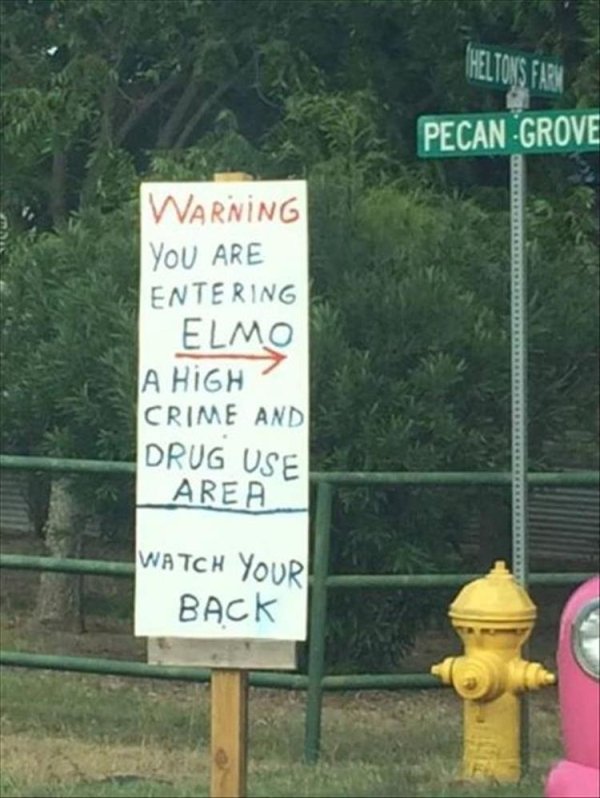 tree - Pecan Grove Warning You Are Entering Elmo A High Crime And Drug Use Area Watch Your Back