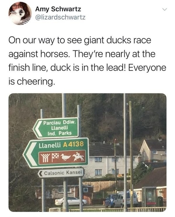 street sign - Amy Schwartz On our way to see giant ducks race against horses. They're nearly at the finish line, duck is in the lead! Everyone is cheering. Parciau Ddiw. Llanelli Ind. Parks Llanelli A 4138 Calsonic Kansei