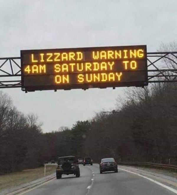 lizard warning -