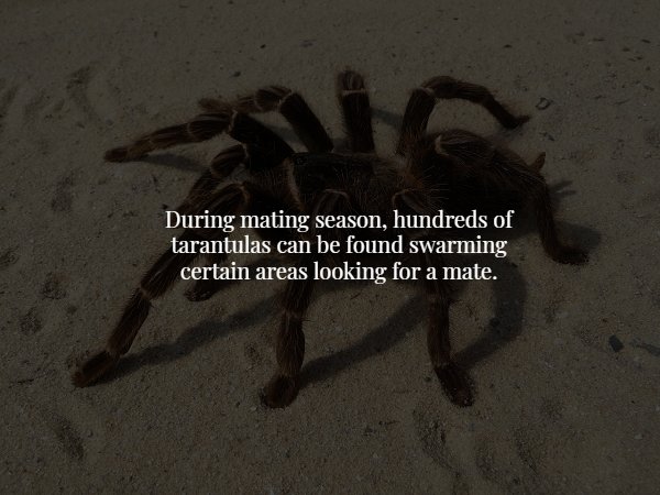 15 creepy facts to freak you out