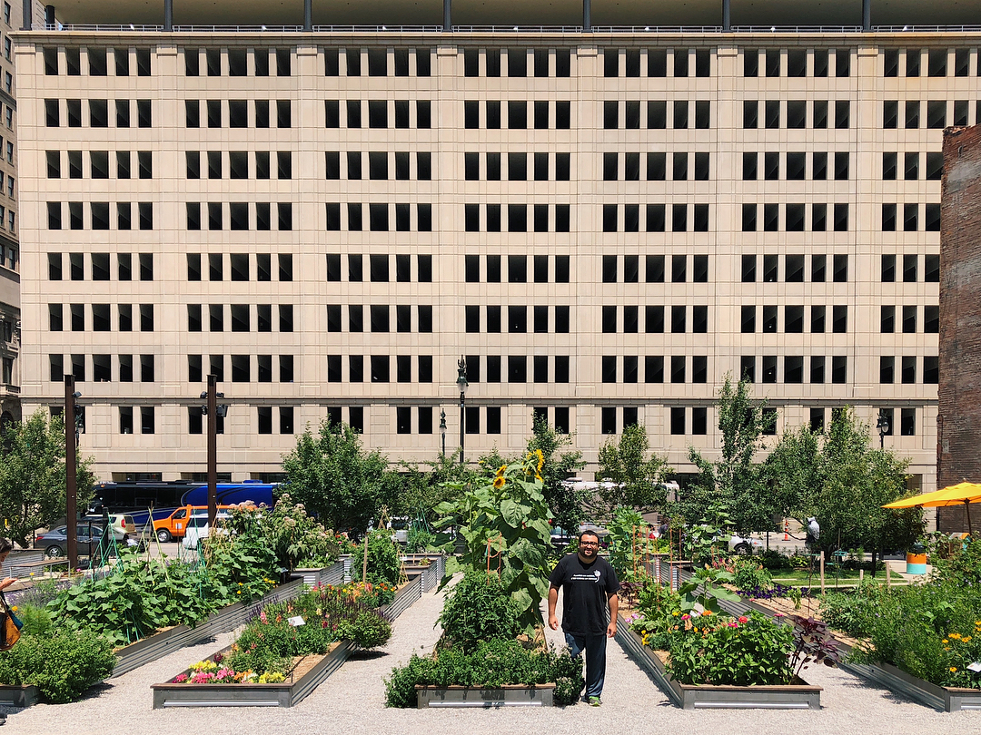 In Detroit, people grow carrots and cabbage right in the city center.