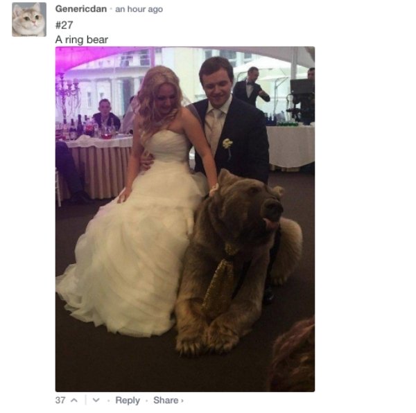 russian wedding bear - Genericdan an hour ago A ring bear 37