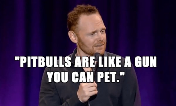 25 Bill Burr jokes are perfect life advice