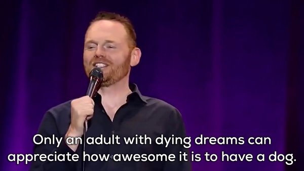 25 Bill Burr jokes are perfect life advice