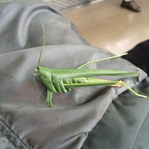 Origami grasshopper.