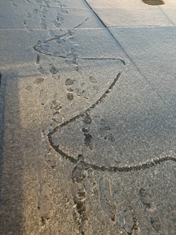 A trail in the snow left by a blind person.