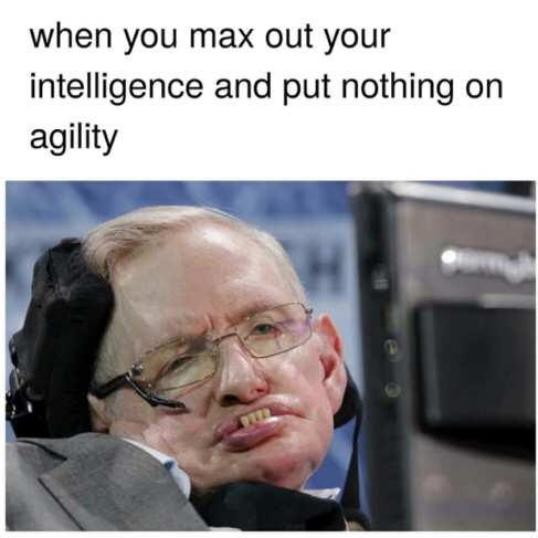 steve hawkings - when you max out your intelligence and put nothing on agility
