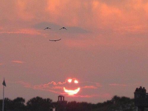 sun smiles the birds smile back