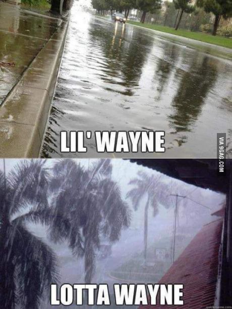lil wayne lotta wayne - Lil' Wayne Via 9GAG.Com Lotta Wayne