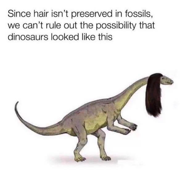 dinosaur with hair - Since hair isn't preserved in fossils, we can't rule out the possibility that dinosaurs looked this